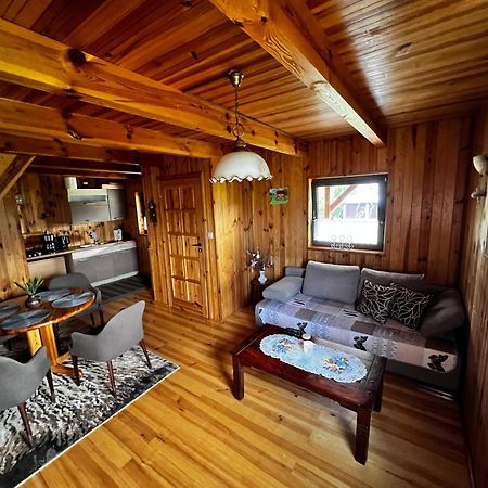 Vila Domek U Karkonosza Kamienna Gora Exteriér fotografie