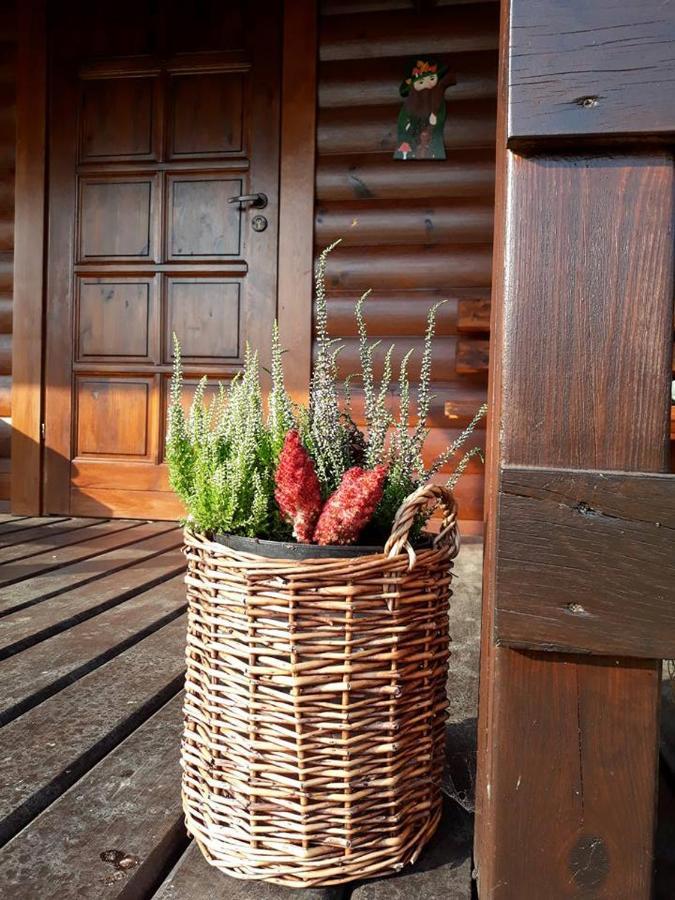 Vila Domek U Karkonosza Kamienna Gora Exteriér fotografie