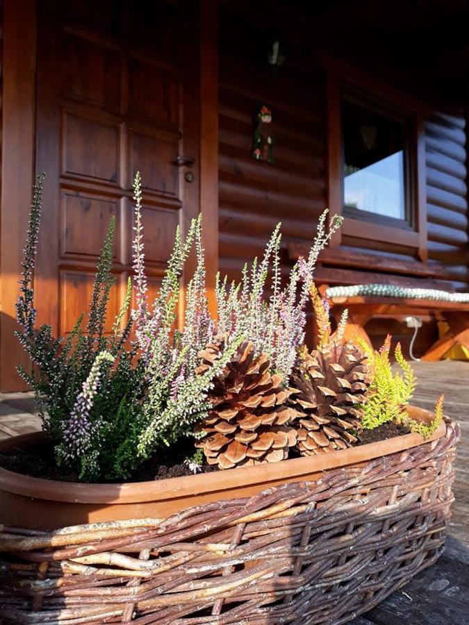 Vila Domek U Karkonosza Kamienna Gora Exteriér fotografie