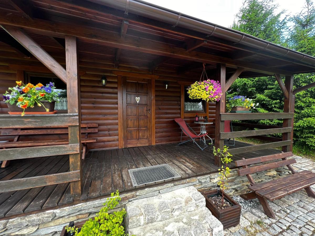 Vila Domek U Karkonosza Kamienna Gora Exteriér fotografie
